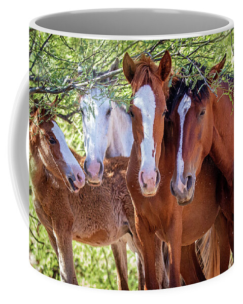 Mesa Coffee Mug featuring the photograph Closeup of Herd of Four Wild Horses by Good Focused