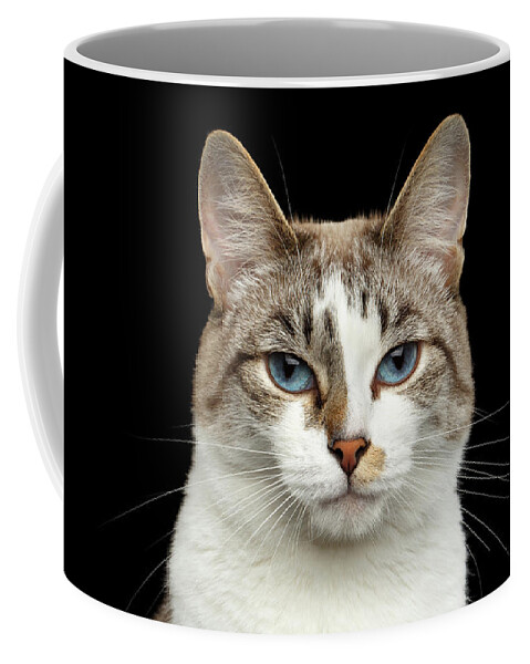 Cat Coffee Mug featuring the photograph Closeup Portrait of face White Cat, Blue Eyes Isolated Black Background by Sergey Taran