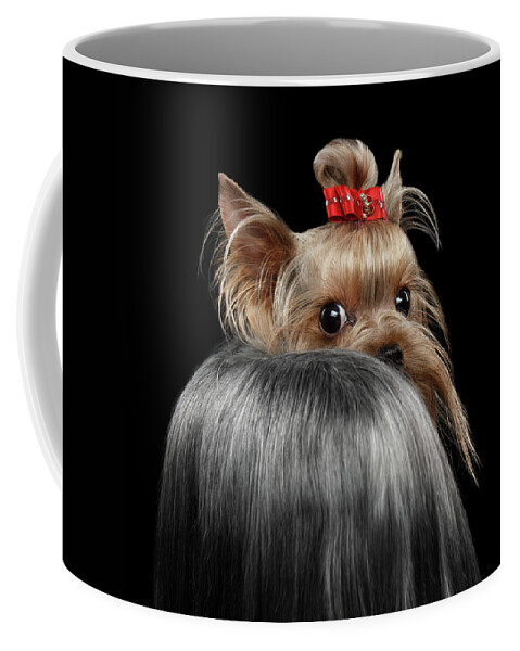  Closeup Coffee Mug featuring the photograph Closeup Yorkshire Terrier Dog, long groomed Hair Pity Looking back by Sergey Taran