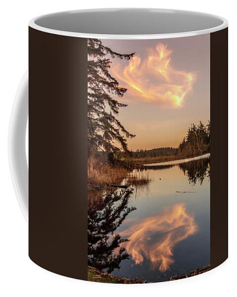 Cloud Coffee Mug featuring the photograph Cloud on Cranberry Lake by Tony Locke