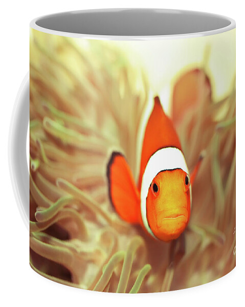 Fish Coffee Mug featuring the photograph Clownfish by MotHaiBaPhoto Prints