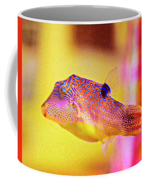 Rebecca Dru Coffee Mug featuring the photograph Clownfish by Rebecca Dru