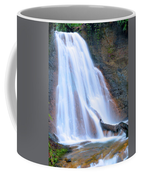  Coffee Mug featuring the photograph Coal Creek Falls by Brian O'Kelly
