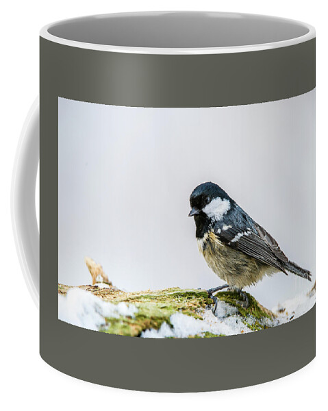 Coal Tit Coffee Mug featuring the photograph Coal Tit's Profile by Torbjorn Swenelius
