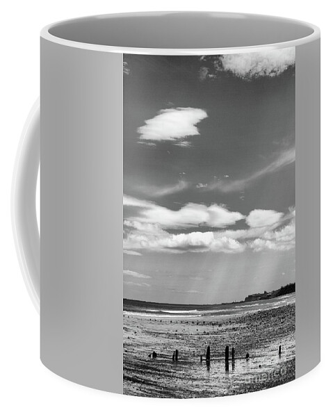 Sea Coffee Mug featuring the photograph Coast - Sticks and Stones by Esoterica Art Agency
