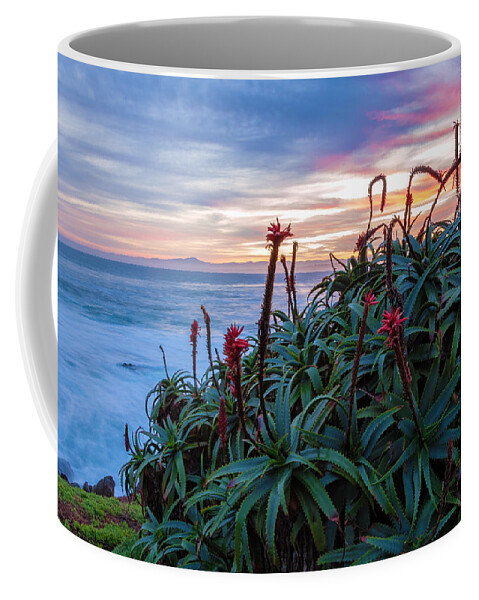 Landscape Coffee Mug featuring the photograph Coastal Aloes by Jonathan Nguyen