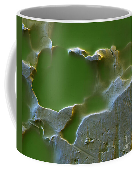 Coated Aluminum Sem Coffee Mug
