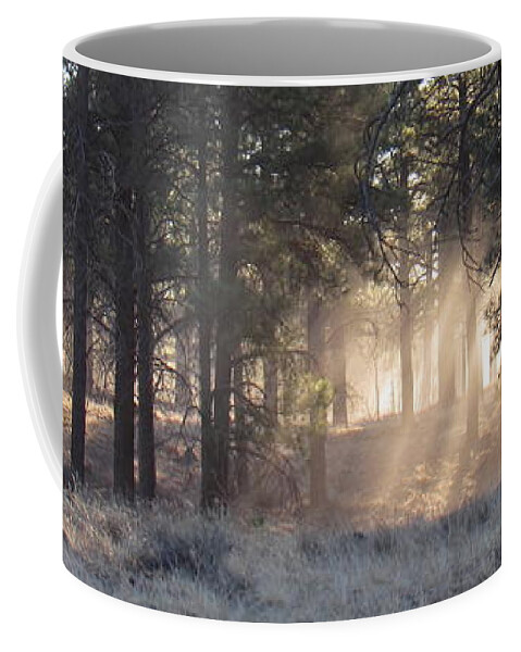 Coconino Forest Coffee Mug featuring the photograph Coconino Dawn by Joshua Bales