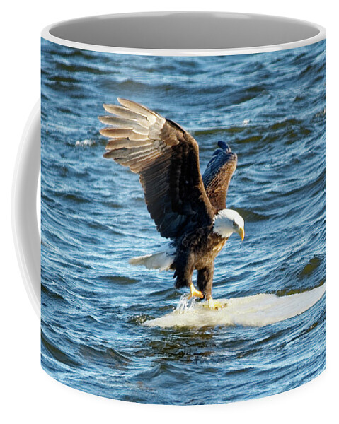 Bald Eagle Coffee Mug featuring the photograph Cold Landing by Peter Ponzio