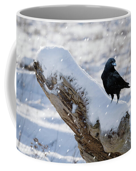 Crow Coffee Mug featuring the digital art Cold Winter by Jim Hatch