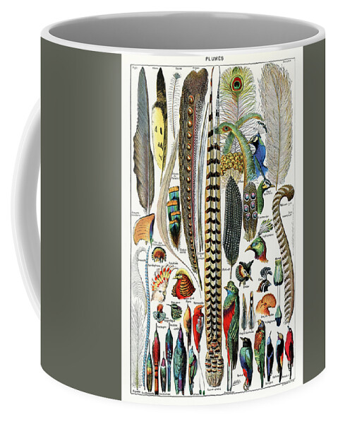 Vintage Coffee Mug featuring the painting Collection of different plume types by Vincent Monozlay