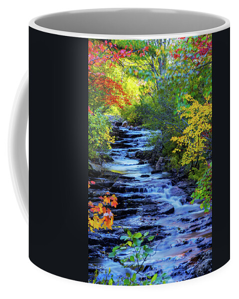 Color Alley Coffee Mug featuring the photograph Color Alley by Chad Dutson