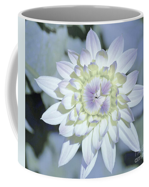 Flowers Coffee Mug featuring the photograph Color Me by Merle Grenz