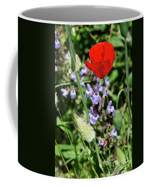 Color Coffee Mug featuring the photograph Color mix 05 by Arik Baltinester