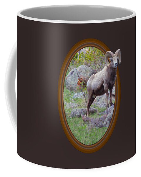 Bighorn Coffee Mug featuring the photograph Colorado Bighorn by Shane Bechler