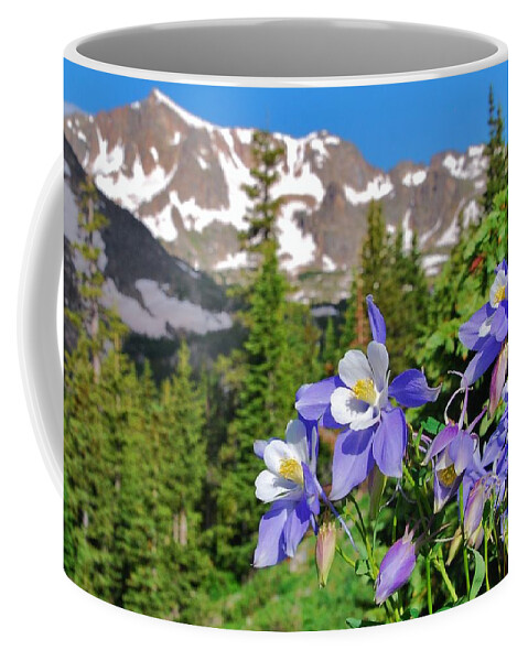 Blue Columbine Coffee Mug featuring the photograph Colorado Blue Columbine by Cascade Colors