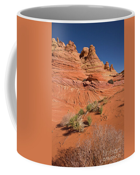 00559158 Coffee Mug featuring the photograph Colorado Plateau Sandstone by Yva Momatiuk John Eastcott