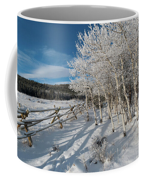 Kenosha Pass Coffee Mug featuring the photograph Colorado Snow Covered Aspen Landscape by Cascade Colors