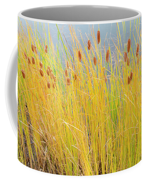 Cattails Coffee Mug featuring the photograph Colorful Autumn Cattails by James BO Insogna