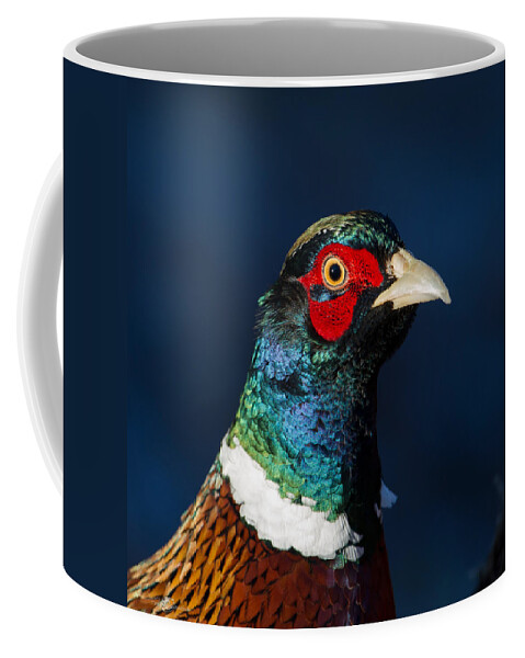 Portrait Cock Pheasant Coffee Mug featuring the photograph Colorful Cock Pheasant by Torbjorn Swenelius