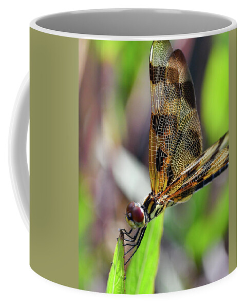 Dragonfly Coffee Mug featuring the photograph Colorful Dragonfly by Artful Imagery