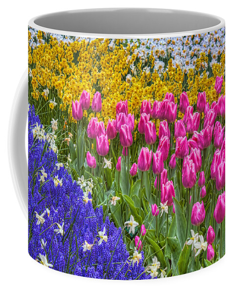 Spring Coffee Mug featuring the photograph Colorful Flowers by Nadia Sanowar