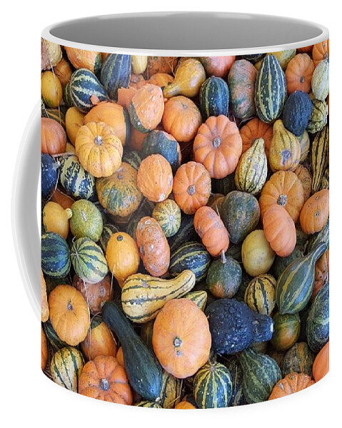 Vegetables Coffee Mug featuring the photograph Colorful gords by Sheryl Unwin