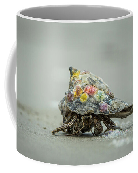 Alive Coffee Mug featuring the photograph Colorful Hermit Crab by Chris Bordeleau