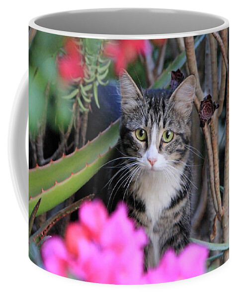 Cat Coffee Mug featuring the photograph Colorful Kitty by Shoal Hollingsworth