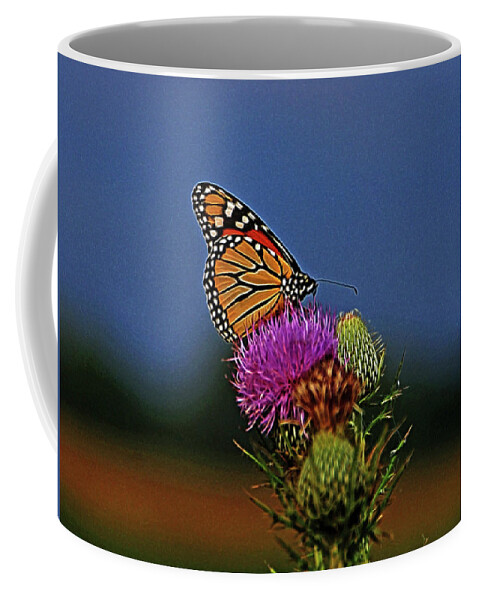 Butterfly Coffee Mug featuring the photograph Colorful Monarch by Sandy Keeton