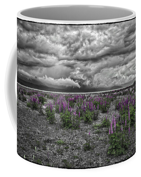 Lupine And Log Coffee Mug featuring the photograph Colorful Spring by Mitch Shindelbower