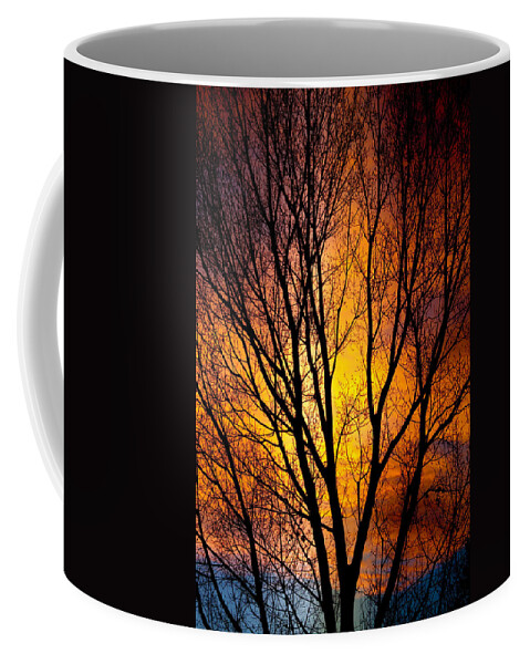 Vertical Coffee Mug featuring the photograph Colorful Tree Silhouettes by James BO Insogna