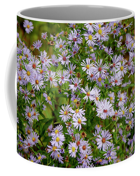 Wild Coffee Mug featuring the photograph Colorful Wildflowers by Paul Freidlund