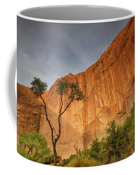 Coyote Gulch Coffee Mug featuring the photograph Colors of bliss by Kunal Mehra