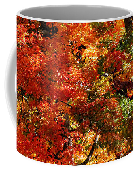 Fall Coffee Mug featuring the photograph Colors of Fall by William Selander