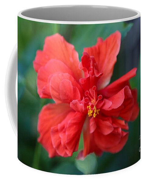 Hibiscus Coffee Mug featuring the photograph Colors of the Tropics Hibiscus by Carol Groenen