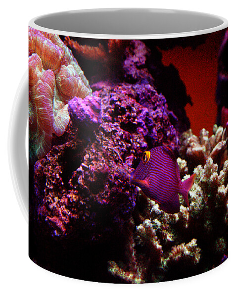 All Rights Reserved Coffee Mug featuring the photograph Colors of Underwater Life by Clayton Bruster