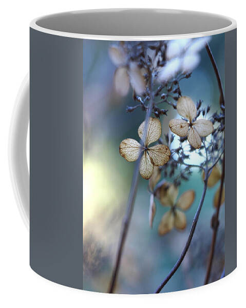 Nature Coffee Mug featuring the photograph Colors of Winter by Jessica Myscofski