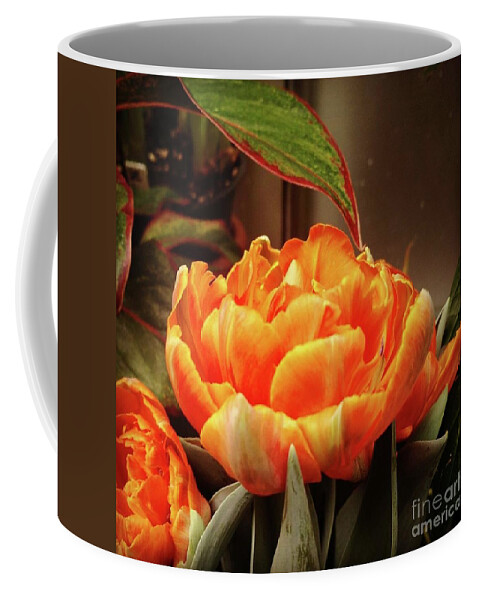 Orange Coffee Mug featuring the photograph Colour Orange by Anita Adams