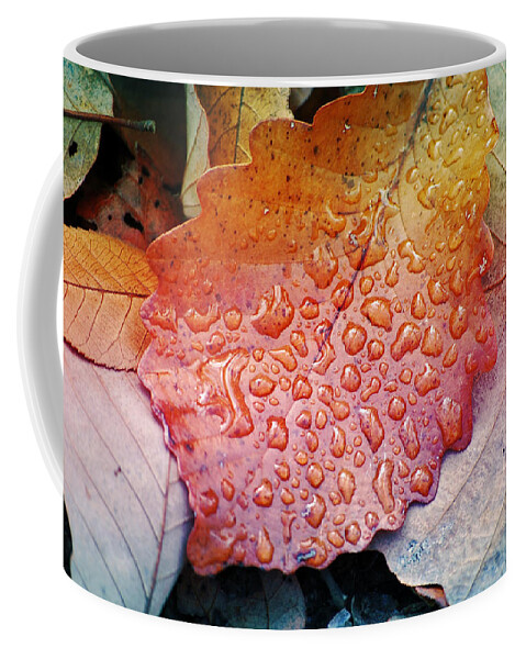 Leaves Coffee Mug featuring the photograph Colours of Fall III by Robert Meanor