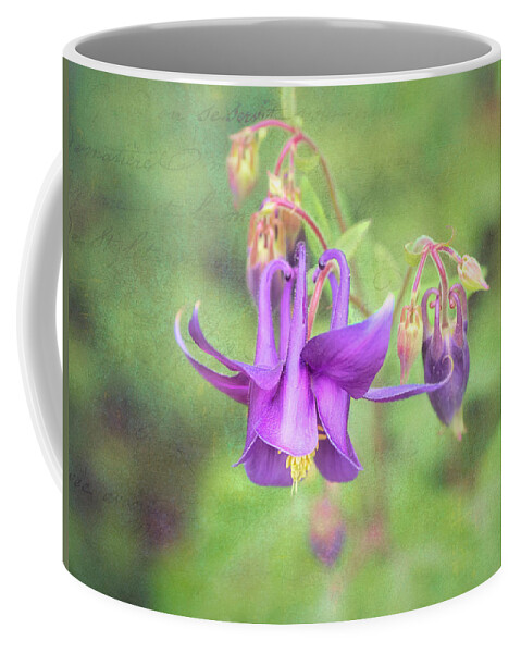 Flower Coffee Mug featuring the photograph Columbine state flower of Colorado. by Usha Peddamatham