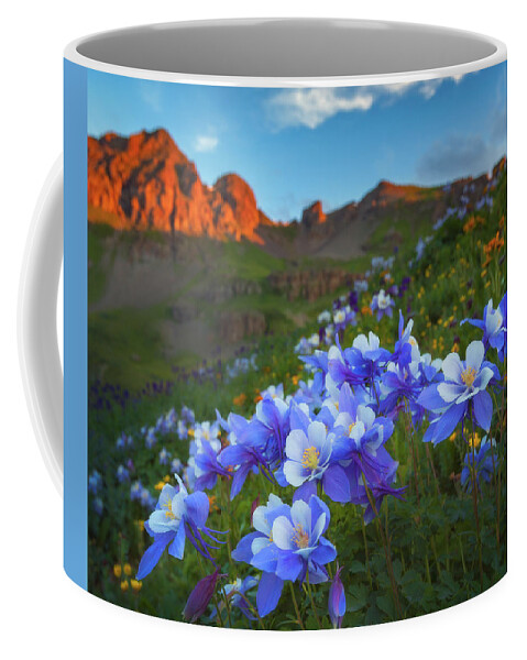 Colorado Coffee Mug featuring the photograph Columbine Sunrise by Darren White