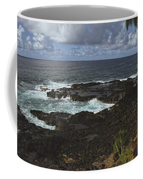 Travel Coffee Mug featuring the photograph Come Back To Me by Lucinda Walter
