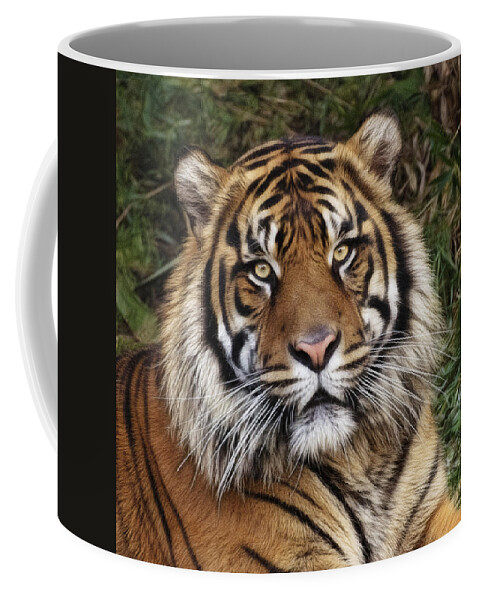 Come Pet Me Coffee Mug featuring the photograph Come Pet Me by Wes and Dotty Weber