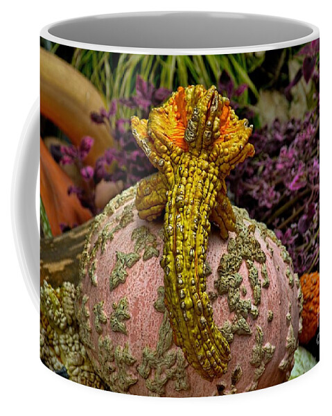 Squash Coffee Mug featuring the photograph Coming to Get You by Diana Mary Sharpton