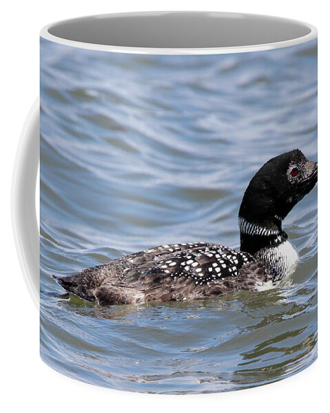 Common Loon Coffee Mug featuring the photograph Common Loon Port Jefferson New York by Bob Savage