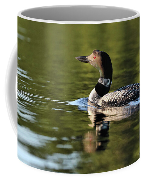Common Loon Coffee Mug featuring the photograph Common Loon Portrait by Sandra Huston