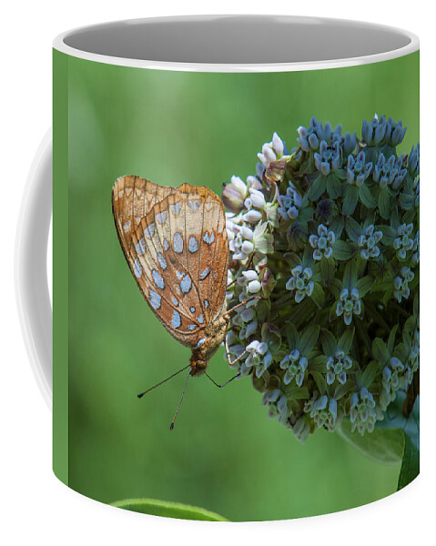 Nature Coffee Mug featuring the photograph Common Milkweed and Great Spangled Fritillary DSMF0261 by Gerry Gantt