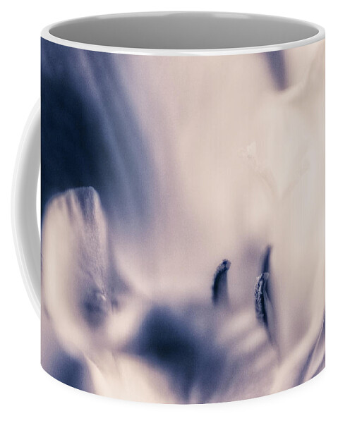Connie Handscomb Coffee Mug featuring the photograph Communion by Connie Handscomb