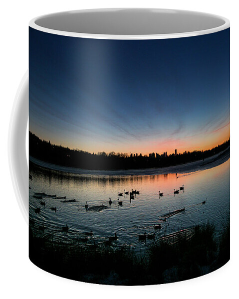 Ducks Coffee Mug featuring the photograph Community Pool by Monte Arnold
